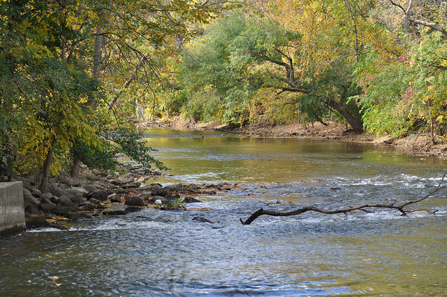 Red Cedar River CANR